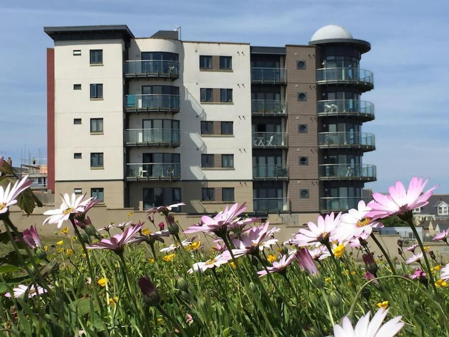 2Bed With Pool & Sea View Apartment New Quay Exteriör bild